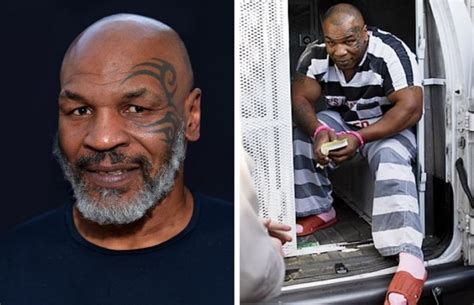 14 Celebrities Who Have Been in Prison – Page 10 – 12 Facts of Just About Everything