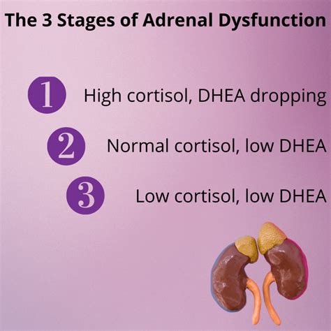 Adrenal Fatigue Recovery - Your Quick Guide to Adrenal Fatigue