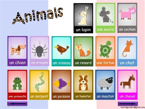 French Animals | Teaching Resources