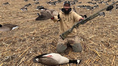 Goose Hunting on a Budget! - YouTube