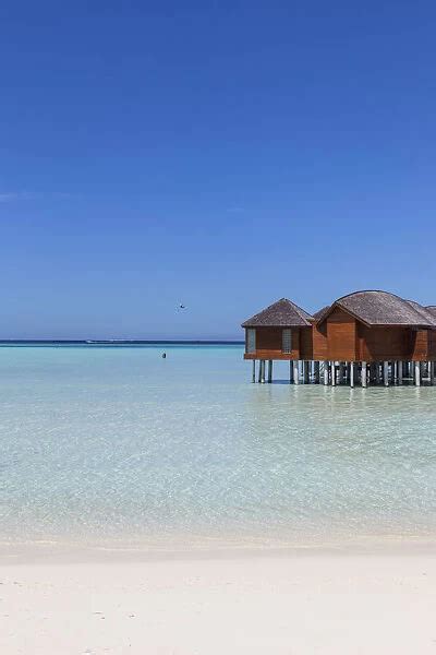 Overwater bungalows, Anantara Dhigu resort Our beautiful pictures are ...