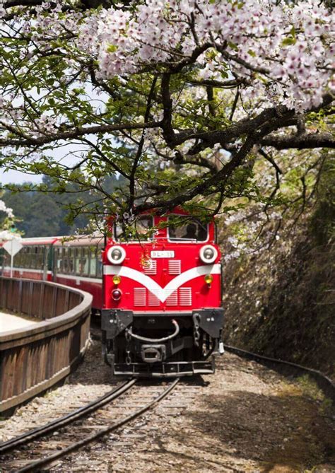 How to Get from Chiayi to Alishan (+ Train & Bus Schedules) • Hoponworld