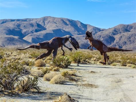 Anza Borrego State Park - | TAP Into Adventure!