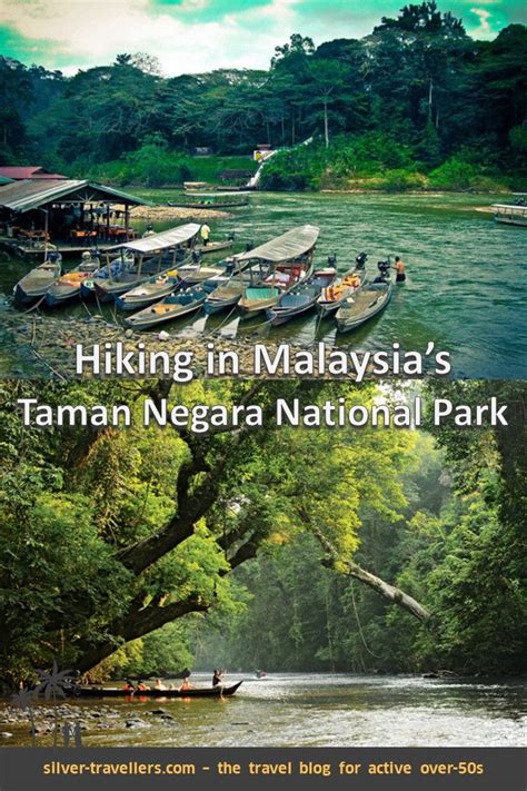 Hiking in Malaysia's Taman Negara National Park | Taman negara, National parks, Travel places to ...