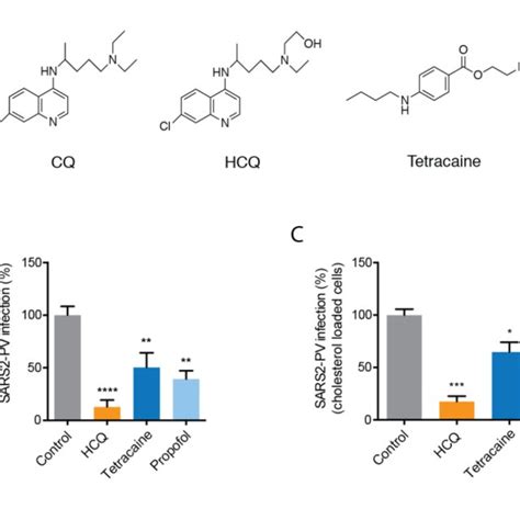 (PDF) Hydroxychloroquine: Mechanism of action inhibiting SARS-CoV2 entry.