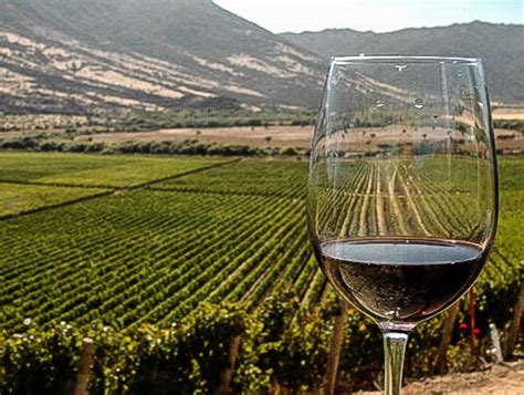 Argentina Wine Tours | Argentina4u