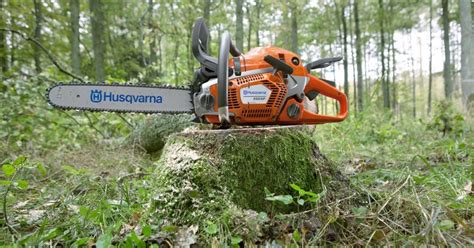 Husqvarna vs Stihl Chainsaws - Which Brand is Best for You?