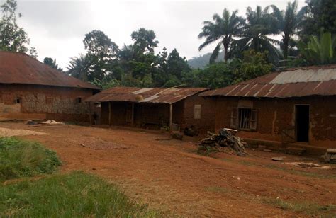 A Nigerian Village Compound Photograph by Amy Hosp