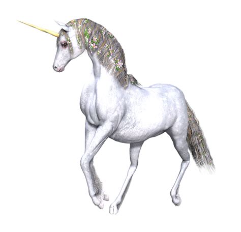 Free illustration: Unicorn, Fantasy, Fairy, Tale - Free Image on Pixabay - 2029770