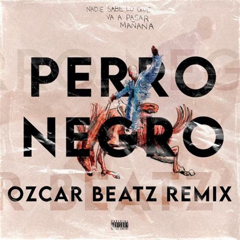 Stream BAD BUNNY X FEID - PERRO NEGRO (HOUSE REMIX REMIX) - OZCAR BEATZ ...