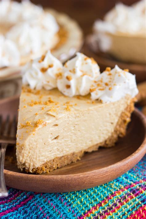 Cookie Butter Cheesecake with Biscoff Crust - The Gold Lining Girl