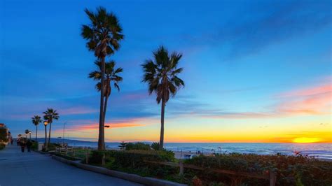 California Palm Trees Wallpapers - Top Free California Palm Trees ...