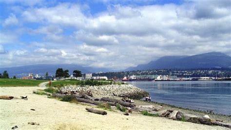 New Brighton Park in Vancouver being considered for habitat restoration ...