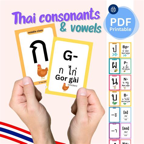 Thai Language Flashcards Thai Consonants & Thai Vowels - Etsy