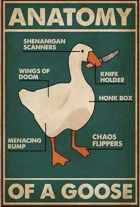 FGERT Goose Knowledge Metal Tin Sign Anatomy Of A Goose Retro Poster ...