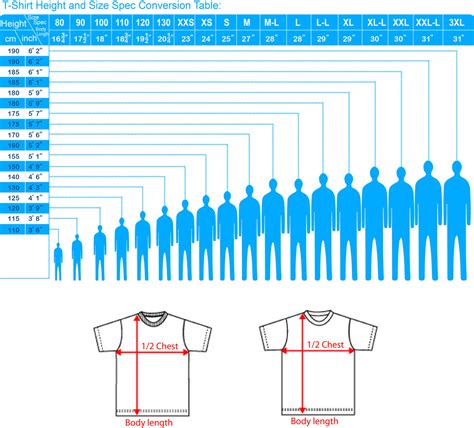 t-shirt size, t shirt standard size, custom t shirt size chart, mens tee size chart, women t ...