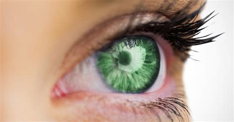 Green eye colour facts | The most beautiful eyes? | All About Vision