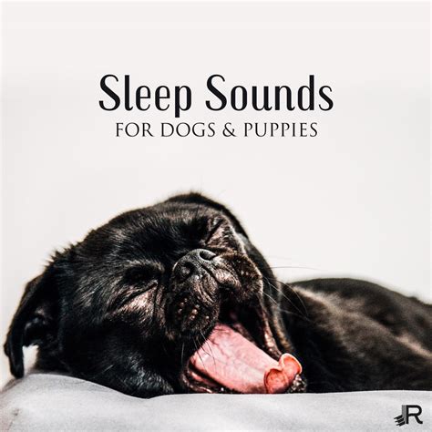 ‎Sleep Sounds for Dogs & Puppies: Soothing Music to Help Your Puppy Go to Sleep at Night ...