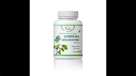 Gymnema Sylvestre For Diabetes Care 500mg 60 Capsules uses, benefits, price, dosage ...