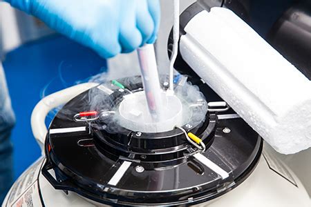 Is A Rapid Cooling Step Needed When Freezing Cells For Cryopreservation?