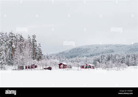 Winter landscape, Sweden Stock Photo - Alamy