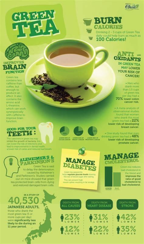 Go Green! Learn about Green Tea Benefits — The Tea Cellar