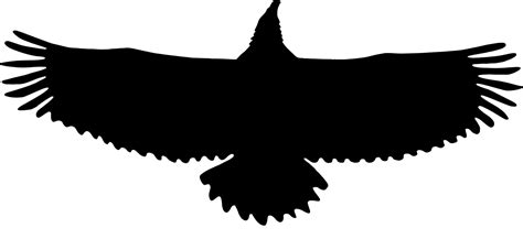 Eagle,Wildlife,Silhouette PNG Clipart - Royalty Free SVG / PNG