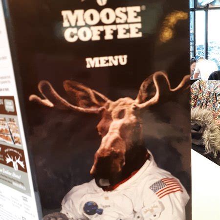 Really poor quality since last visit - Moose Coffee, Leeds Traveller Reviews - Tripadvisor