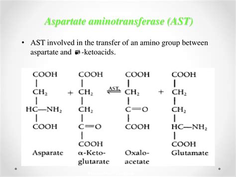 PPT - Liver function test PowerPoint Presentation, free download - ID:8966915