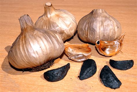 Aged garlic extract supplementation modifies inflammation and immunity ...