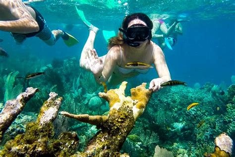 Tamarindo Kayak Snorkel Tour | Native's Way Costa Rica Tamarindo Tours