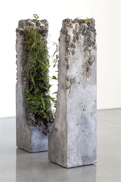 Jamie North Fills Concrete With Australian Plants - IGNANT | Australian ...