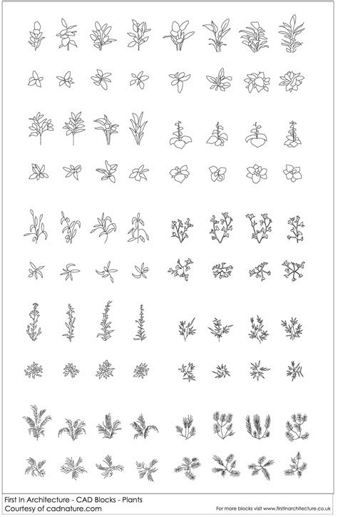 FIA Wild Plants CAD Blocks