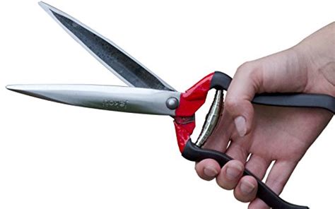 Best Topiary Shears In 2024 [Buying Guide + Reviews]