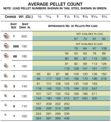 Steel vs. Lead: Differences You Should Know