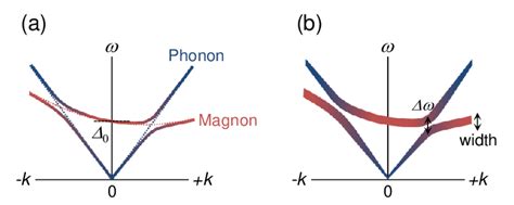 Phonon MChE caused by the magnon-phonon hybridization. (a) Dispersion ...