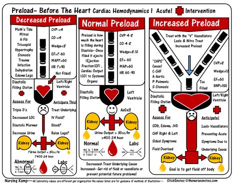 TAB Cardiac-1-Hemodynamica Preload Nursing KAMP StockEnotes TWS Media | Nursing mnemonics ...