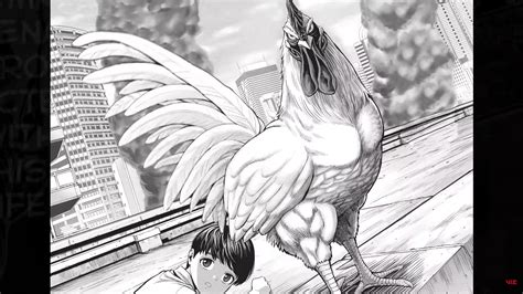 Interview: Shu Sakuratani – Rooster Fighter Manga Creator - Anime Corner