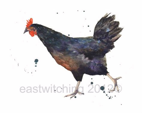 WATERCOLOR Chicken print 8x10 print by eastwitching on Etsy