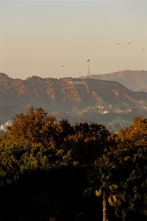 Hollywood Signage on Mountain · Free Stock Photo