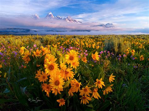 Grand Teton Sunrise by jessespeer on DeviantArt