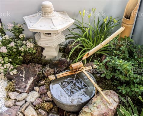 Shishi Odoshi Japanese Bamboo Water Fountain In Zen Garden Stock Photo - Download Image Now - iStock