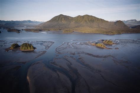 Magical Mudflats - Raincoast Education Society