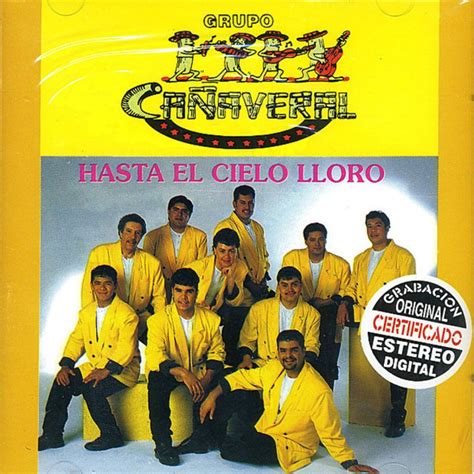 GRUPO CAÑAVERAL - Vuelvo a Sentir Lyrics | Musixmatch