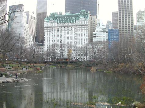 Central Park, NYC | Plaza hotel, Nyc hotels, New york architecture