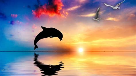 Animated Dolphin Screensavers Wallpaper (46+ images)