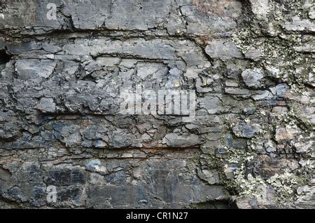 Lump of bituminous coal Stock Photo - Alamy