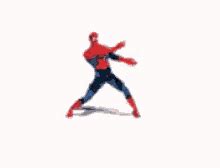 Spider Man Meme GIFs | Tenor