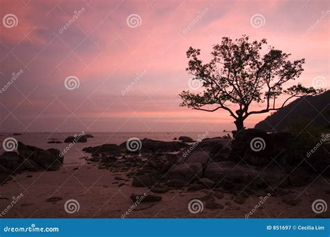 Romantic Sunset by the Beach Stock Image - Image of caucasian, romantic: 851697