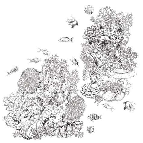 Hand drawn underwater natural elements. Sketch of reef corals and... | Ocean art painting ...